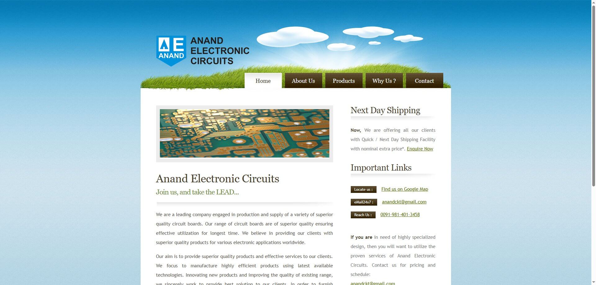 Screenshot of the Anand Electronic Circuits Official Website Homepage
