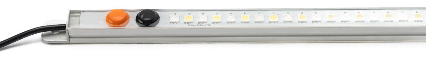 End of an LED PCBA showing a black and an orange push button beside alternating white and amber LEDs